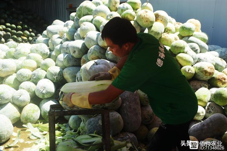 为啥说农产品深加工是农业种植唯一出路,在农村建工厂现实吗?