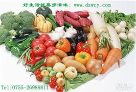 深圳多滋味农产品配送中心诚信经营专业提供蔬菜配送服务