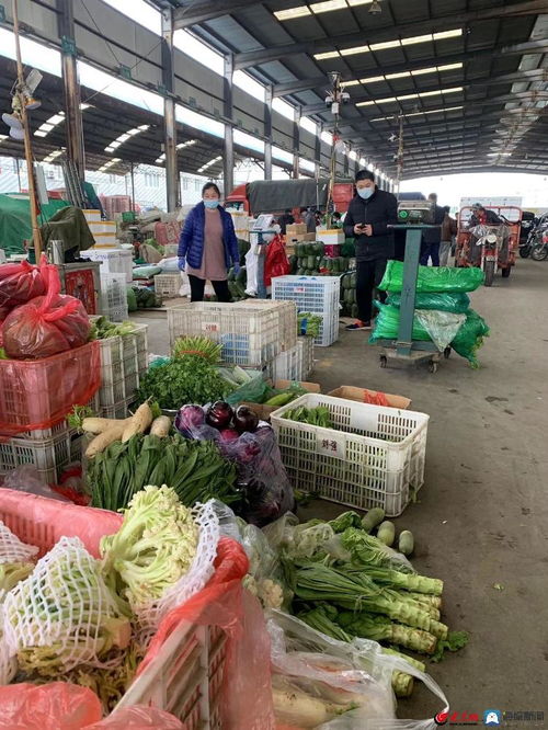 探访济南最大 菜篮子 日进蔬菜量增加10 达3000吨